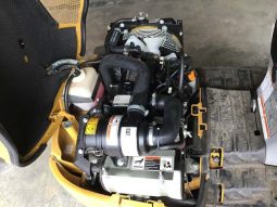 2020 Cat 300.9 D VG full